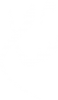 ShamLogoWhite